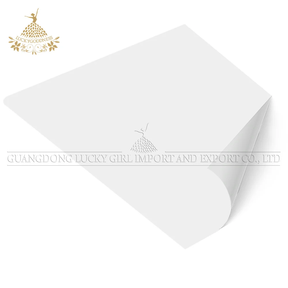 A3 DTF Film Supplies PET DTF Film for Heat Transfer DTF Film for Cold Peeling and Hot Peel A3 size