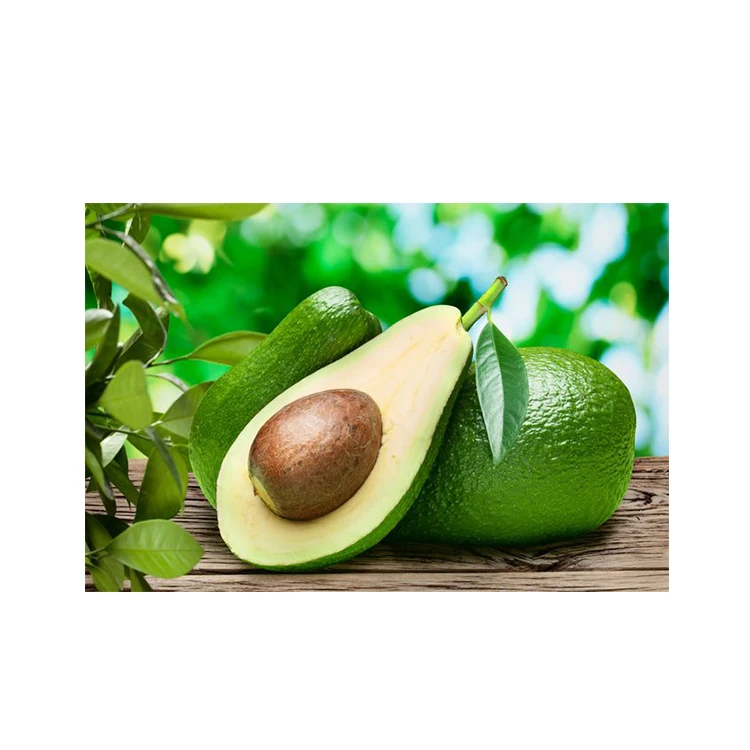 
Hot Sales Price Fresh Mexican Hass Avocado Fruit 
