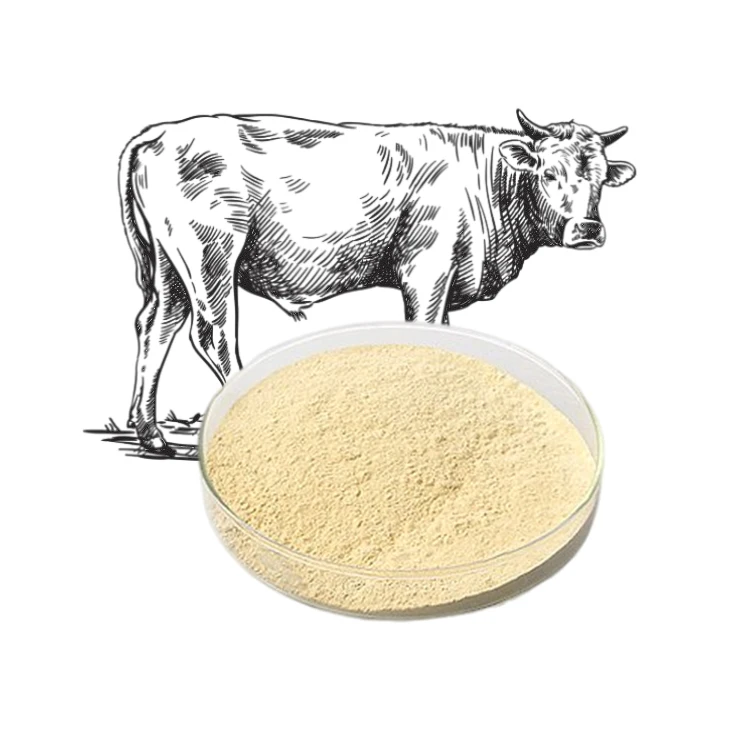 Wholesale Healthcare Supplement  Hydrolyzed Bovine Peptide collagen bovine bone collagen peptide