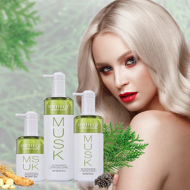 MOCHEQI Wholesale Natural Organic Vegan Hair Care Products OEM Custom Biotin Platycladus orientalis Hair Shampoo And Conditioner