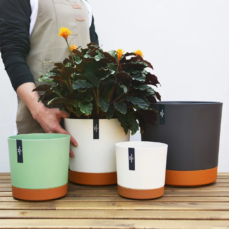 Thickened Plastic Resin Flower Pot White Fleshyd Green Carp Hydrangea Phalaenopsis Orchid Large Simple Anti-Rot Root Flower Pot