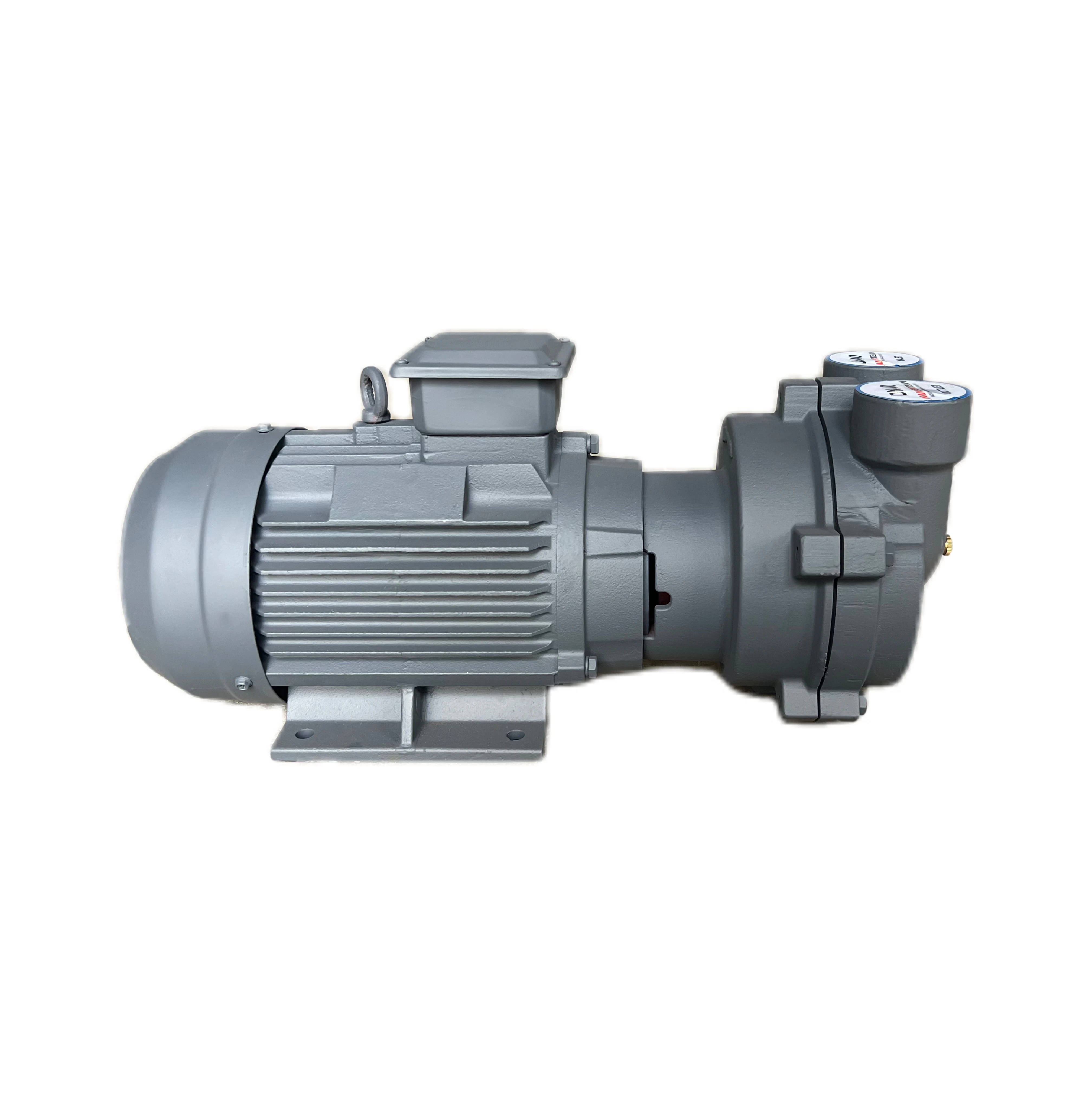 Chinese Manufacturer Competitive Vacuum Pump Directly-Connected Water Ring Vacuum Pump