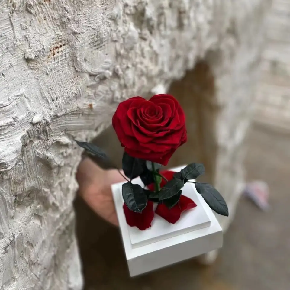Factory price red roses gift summer flora wholesale forever red rose acrylic box flower send to a friend