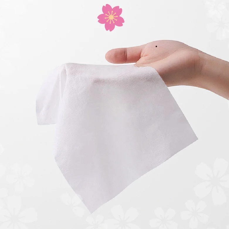 Wet Wipes Individually Packaged Household Wet Toilet Paper Sanitary Wipes Flushable Non-woven Disinfection Cleaning Toilet Wipes