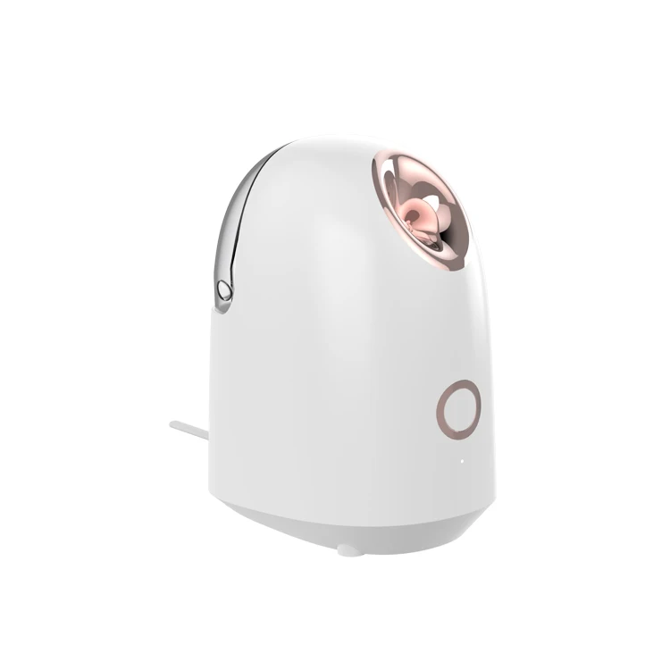 Новинка 2022 персональный мини-отпариватель для лица домашнего