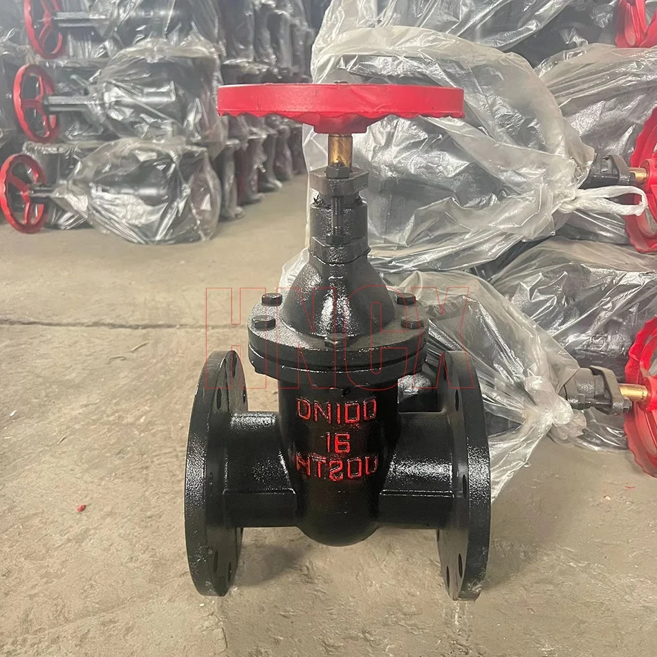 Z41T PN16 Manual Cast Iron Gate Valve Open Stem Wedge gate valve DN250 HT200 Copper Stem Cast Iron Flanged Gate Valve