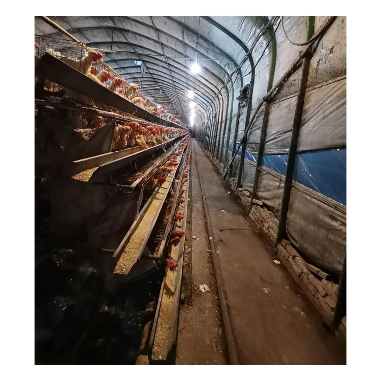 Клетки ручной для бизнеса типа слой куриные клетки продажи в Малайзии