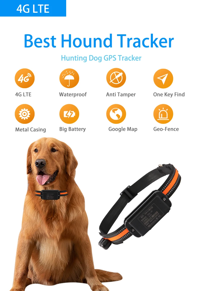 2024 Hot sale Good Price gps gprs tracker hunting dog gps tracking collar dog tracker gps