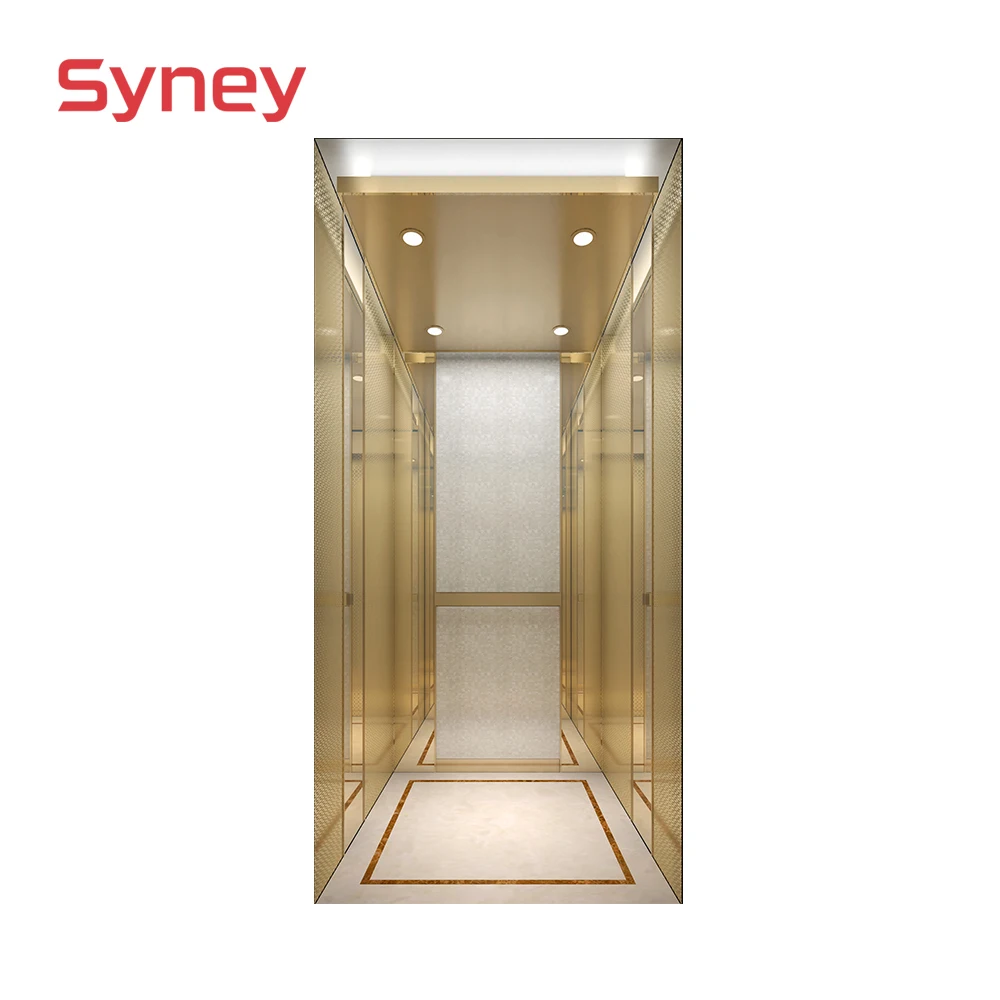 Syney Superior Quality Stable Performance 4~5 Persons Home Villa Elevator