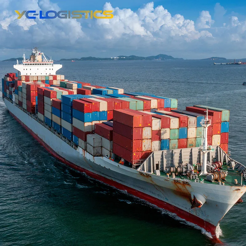 International shipping agent sea freight forwarder door to door from China To USA