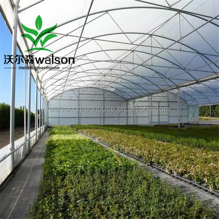 China Factory Export Cheap Greenhouse Farm Green House Design For Agriculture Production