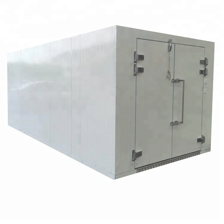 Movable Combined 20ft 40ft Reefer Container Cold Room for Storage
