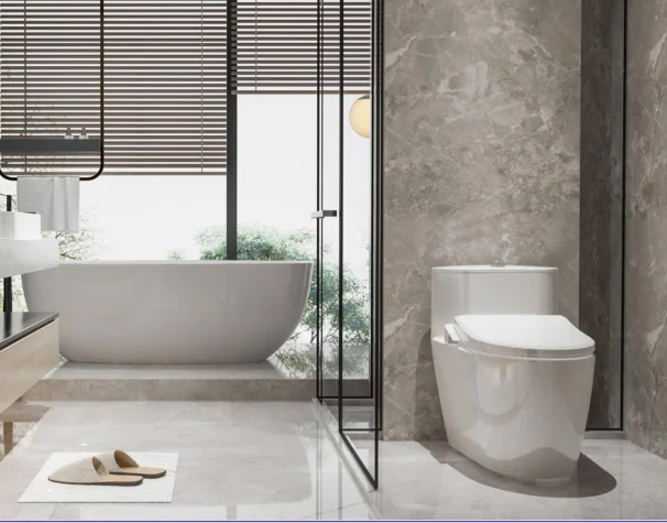 New bidet seat E106 smart toilet seat can be adjusted temperature and water healthy and comfortable