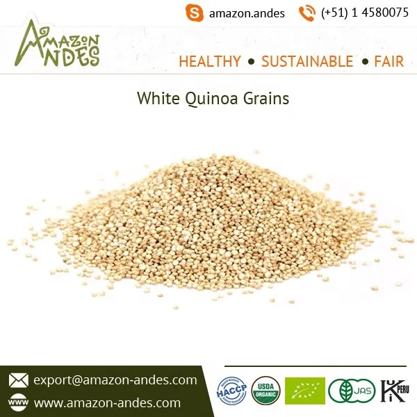 High Protein Contained Quinoa Powder