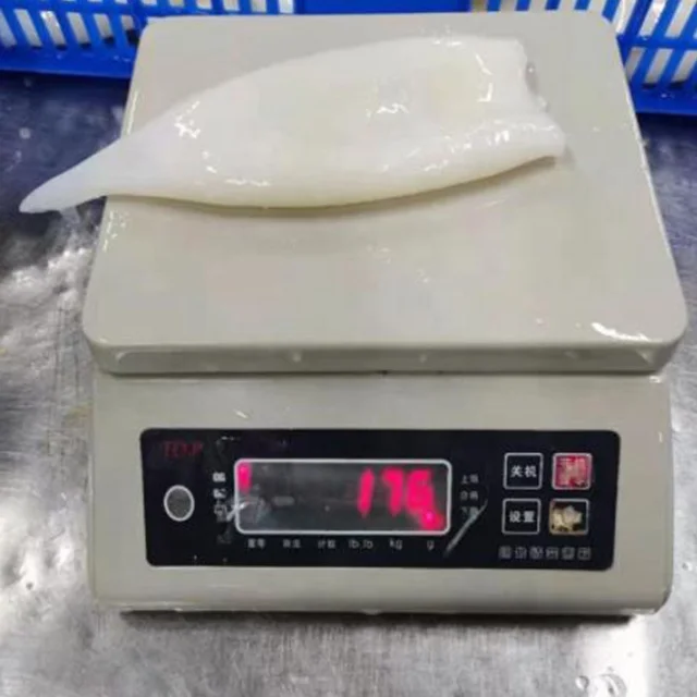 Frozen seafood Squid Tubes  squid tube