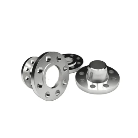 DONGLIU 304 316l Stainless Steel Pipe Fittings Flange Forged wn rf Flange