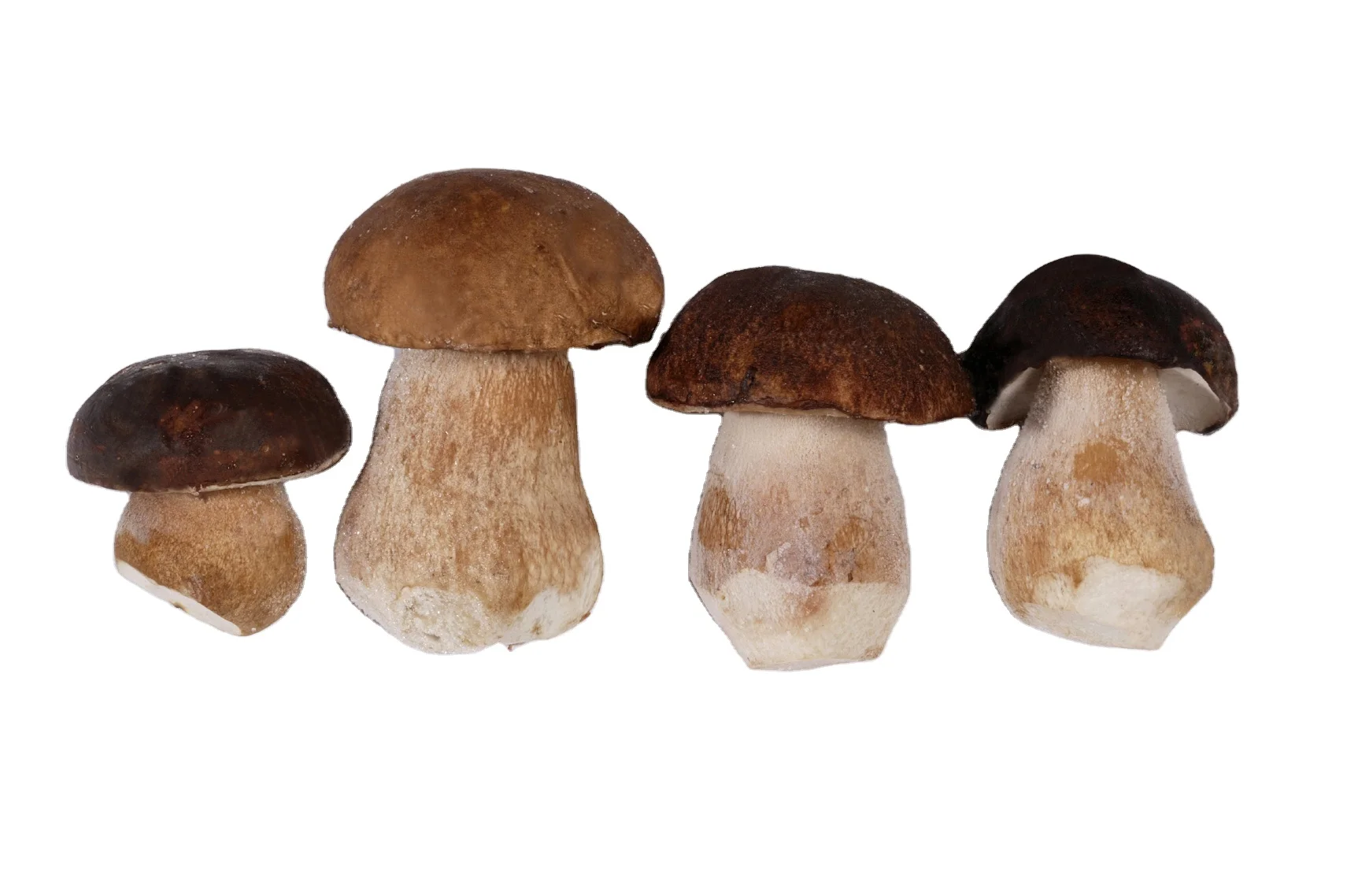 For Trade WILD Porcini (botetus Edulis and Relative Groupe) Brc Ifs Sedex Top Sold Italian Frozen Whole Mushrooms Porcini 1kg