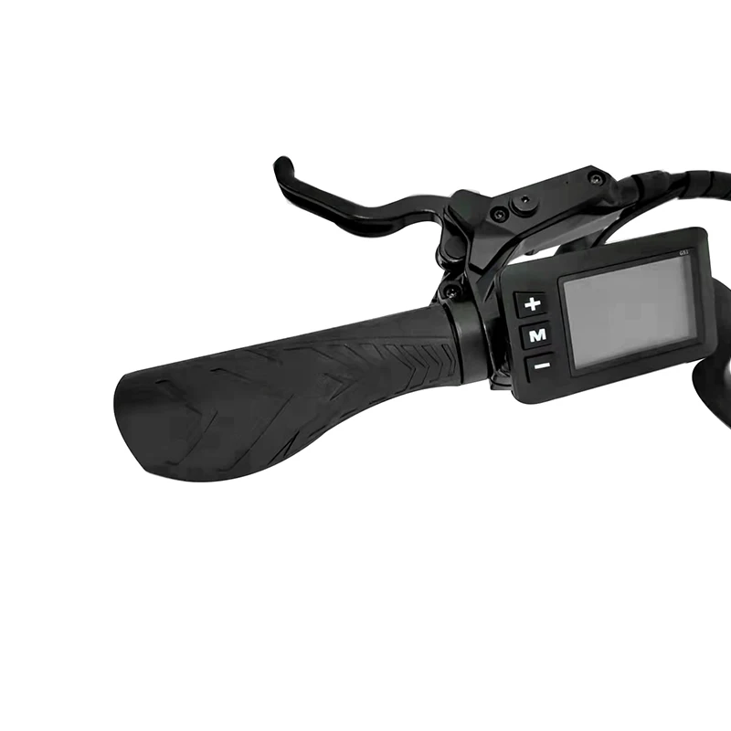 electric bicycle.jpg