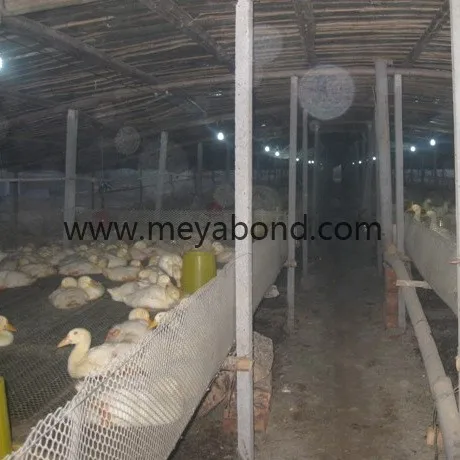 High Strength Plastic Plain net Poultry Farming Fence Poultry Netting