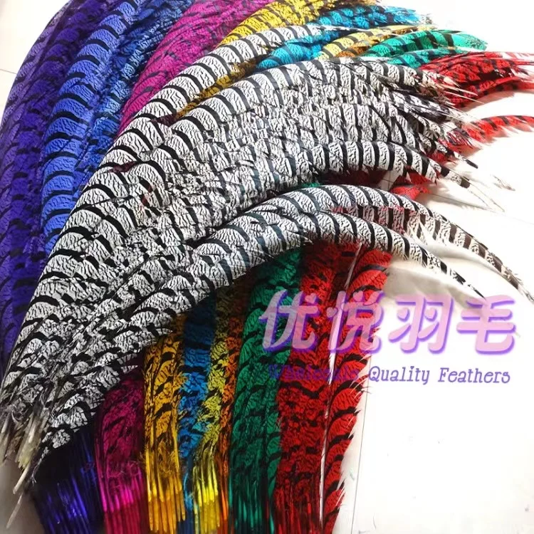 wholesale Top Quality  lady zebra pheasant ringneck reeves  tail feather  for Carnival samba decoration