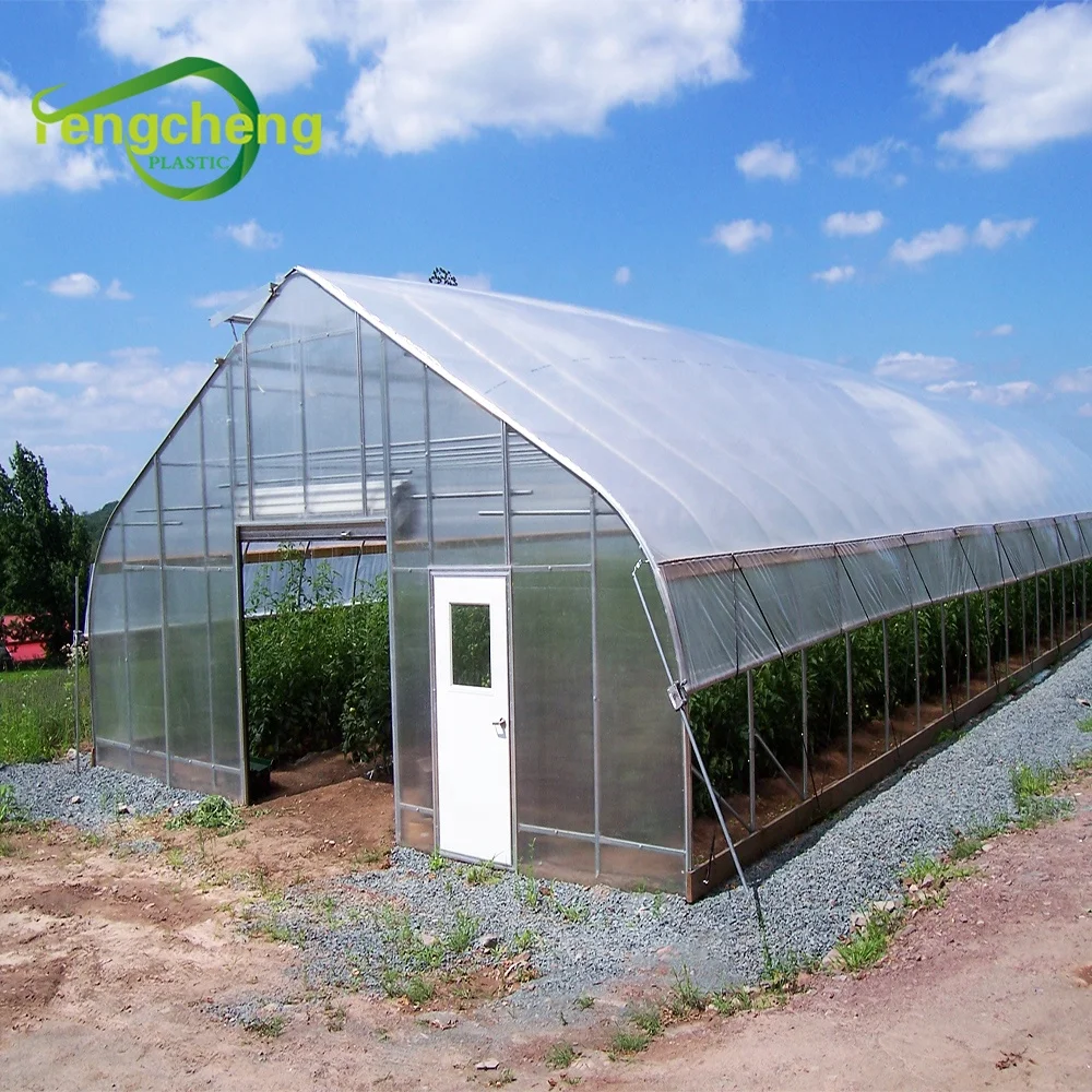 New Style Vegetable Agricultural UV Treated Plastic Film Greenhouse for Sale