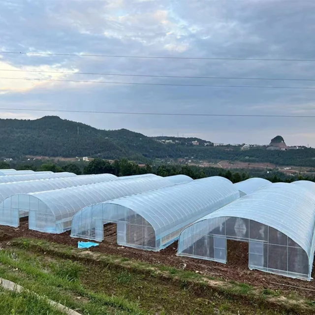 High quality large Single-Span Vegetable Film Greenhouse for Agricultural Use