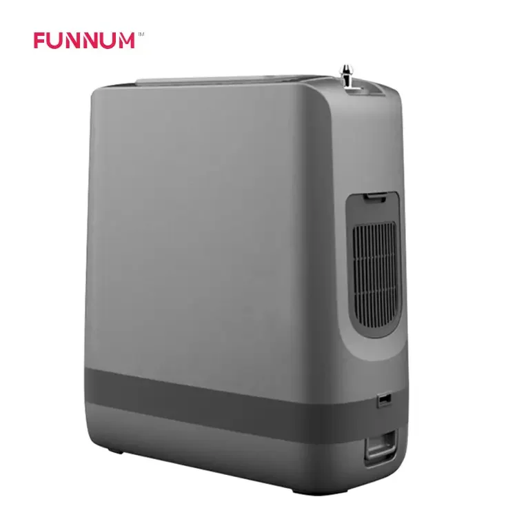 1-3l Portable Small Oxygen Absorber Outdoor Mountaineering Vehicle Mounted Oxygen Concentrator With Built-in Battery For Car