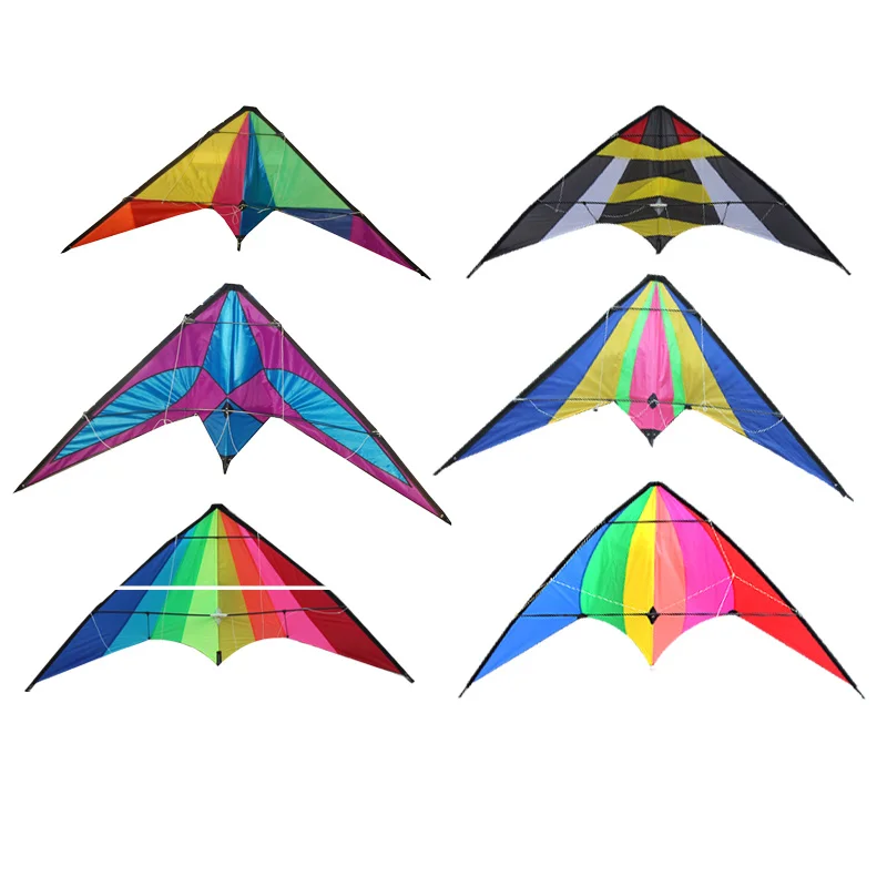 
Yongjian 2020 Dual Line Easy flying Custom Printed outdoor playing training leaf kite albatross stunt kite From Weifang 