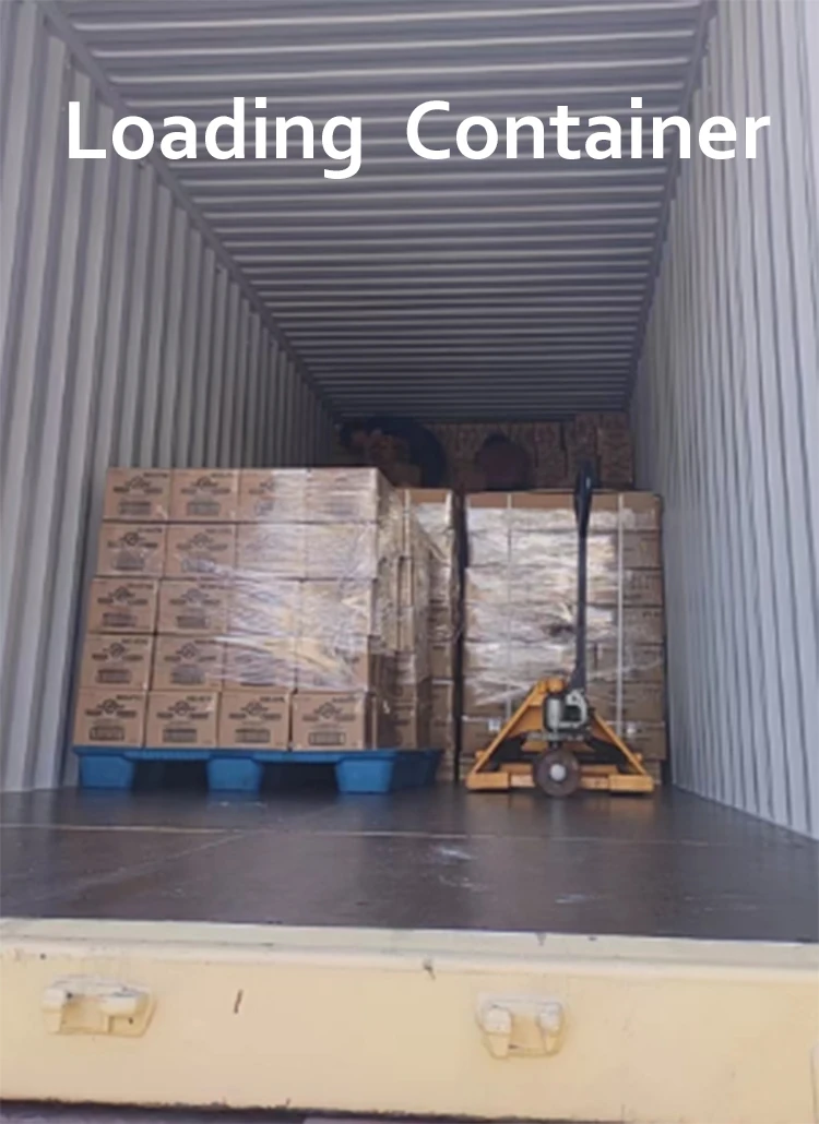 dehumidifier bag (2)