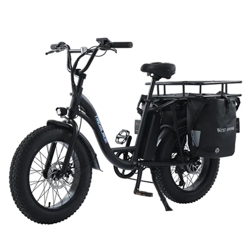 Factory Supply Aluminium Frame 350W Cargo E-Bike High Speed 48V lithium battery Electric Bike for Transportation
