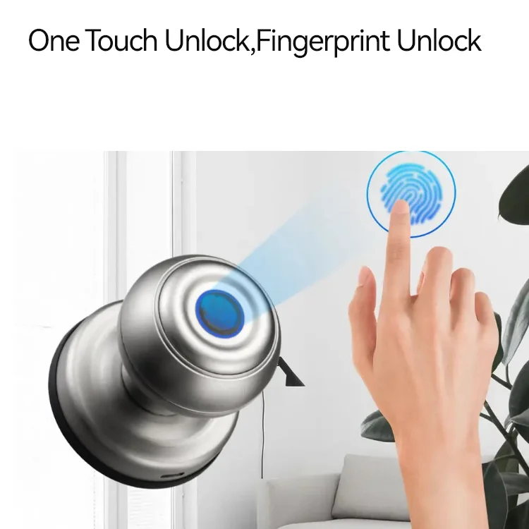 New Product Blue tooth Tuya App Fingerpriint and Key Unlock Electronic Fingerprint Smart Knob Door Lock