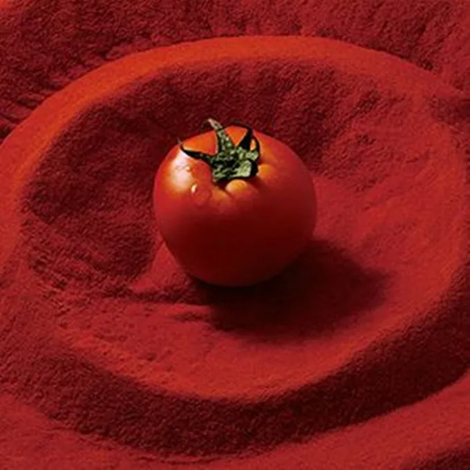 100% natural Air dried tomato powder dehydrated tomato powder