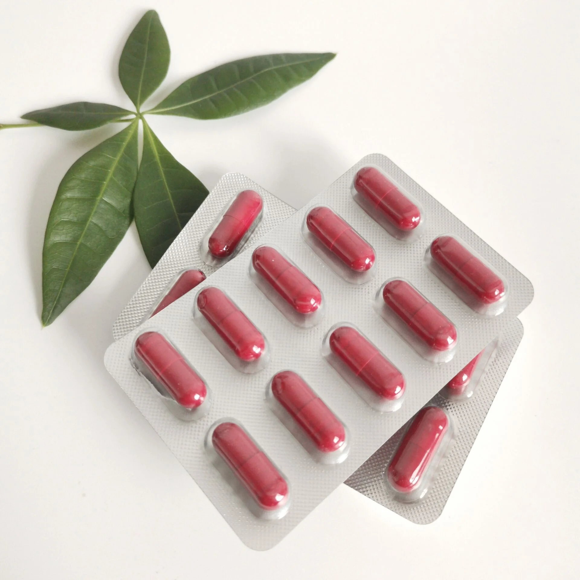 Blister Package Herbal Supplement Horny Goat Weed Epimedium Capsules For Men Health