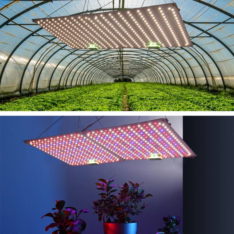 LED Grow Light with Quantum Spectrum Phyto Lamp for Indoor Plants Flowers Greenhouse Seedlings flood light