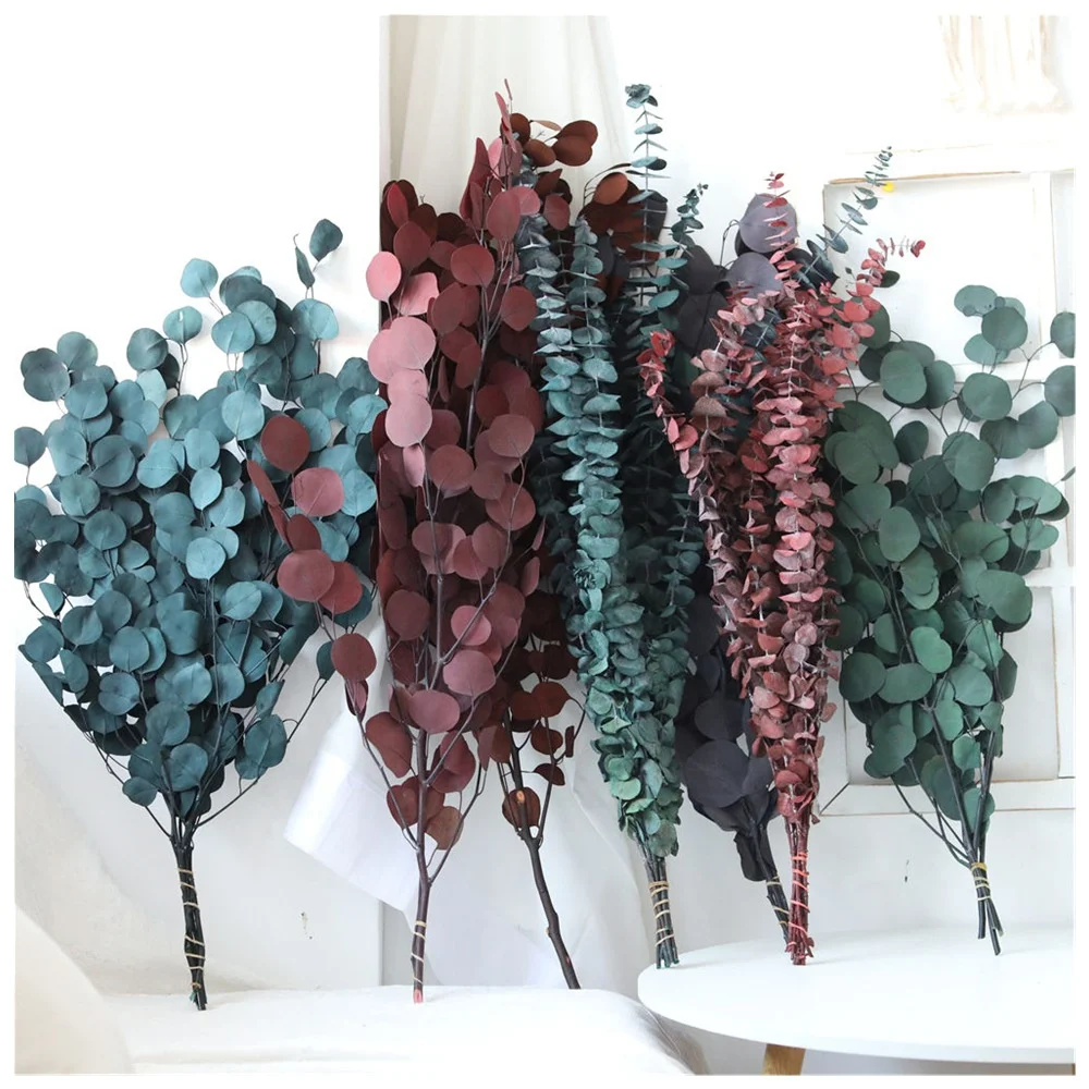 Low Price Wholesale Eucalyptus Leaves at Preserved Flowers Green Eucalyptus For Home Decor Wedding