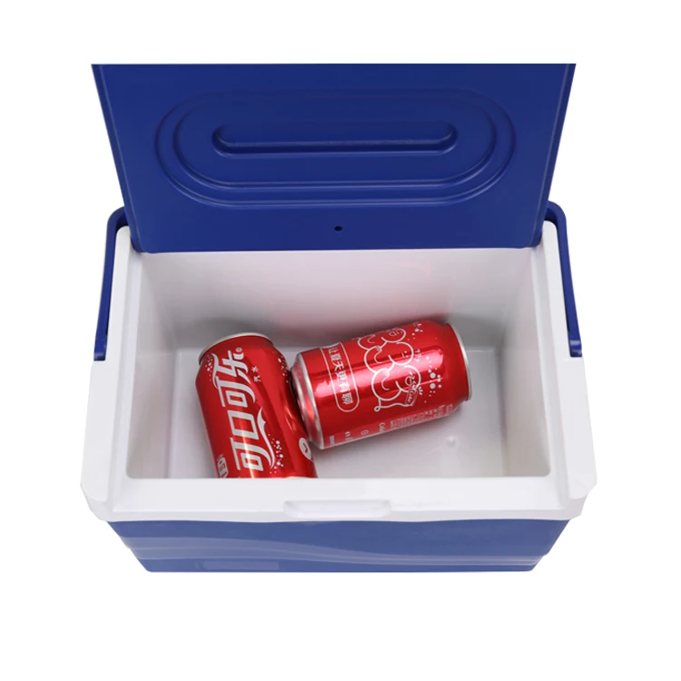 Портативный холодильник GINT, 5 л, мини-размер, оптовая продажа, китайские поставщики, охлаждающий контейнер хорошего качества