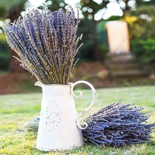 
C2146 Hot Sale Cheap Natural Real Pressed Florals Dry Lavender Bouquet Dried Lavender Flowers For Wedding Home Decoration 