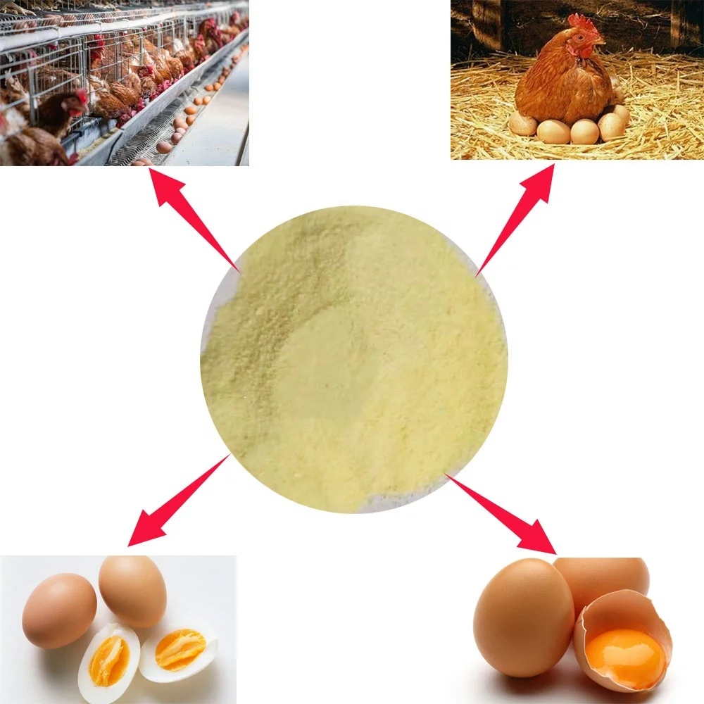 Enhancer Hen Use Egg Booster Mixture  poultry feed additive chicken layer feed