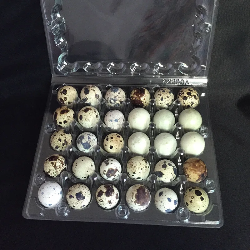 Customizable clear quail egg Cartons for farm use 30mm in diameter  With 12  24 30 Holes  plastic Quail Egg container