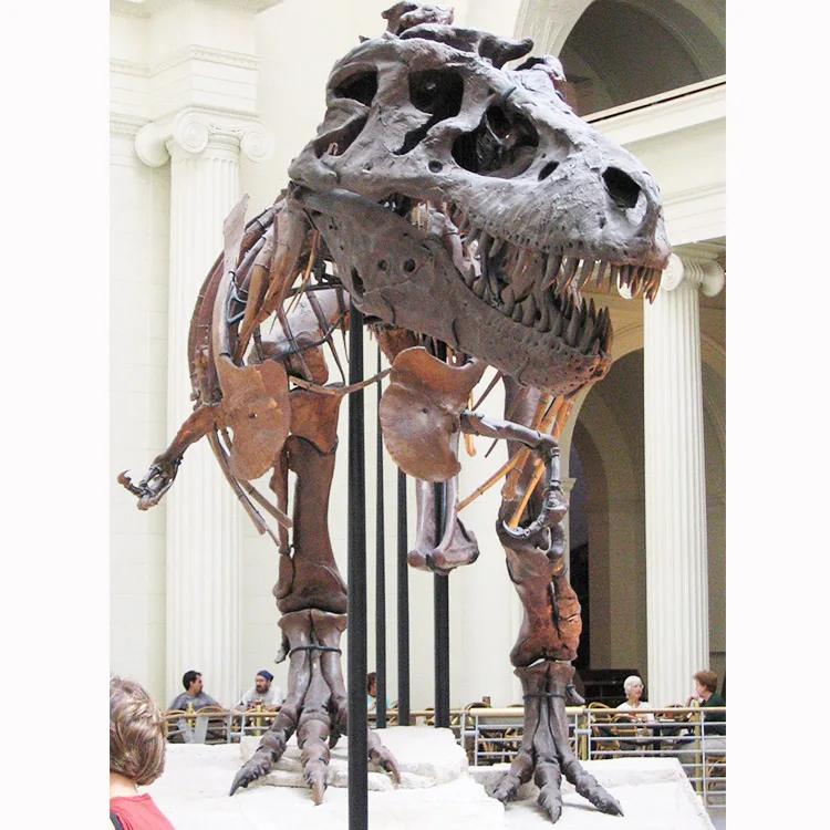 Стекловолокно Trex Скелет Ископаемого кости динозавра ископаемого для дисплея музея