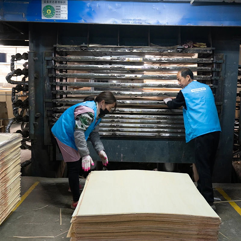 Supplier Wholesale Competitive Price 920 x 920 mm Laminated Basswood Birch Beech Board 2mm 3mm 4mm 5mm 6mm Plywood Sheet