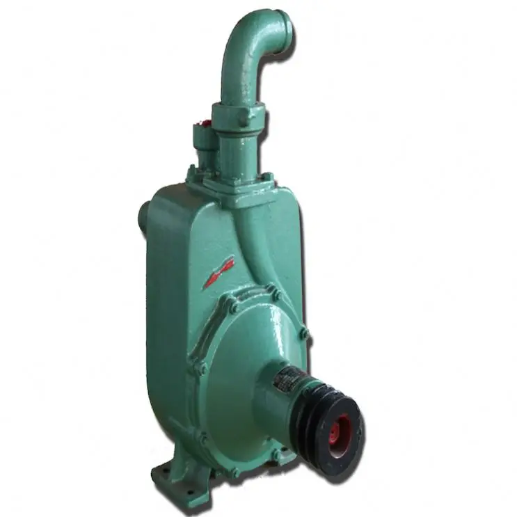 
Good Selling Pool Diesel Pump 