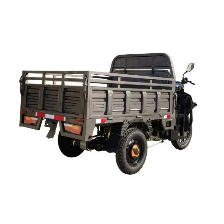 Cheap 3 Wheel Electric Tricycle Cargo Bike Price/cargobike Factory/kids Bicycle