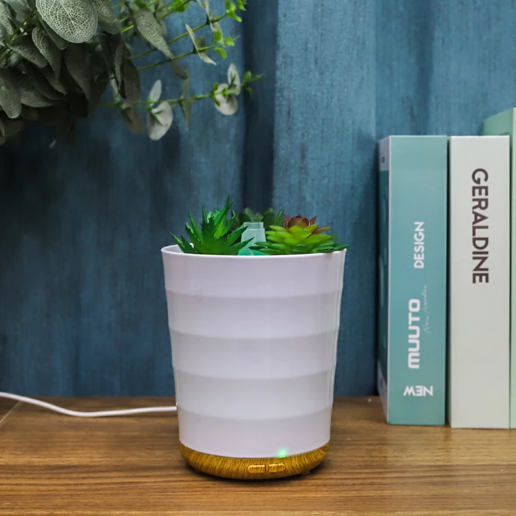 Wholesale Potted Succulent  household 100ml USB Aroma Oil Diffuser