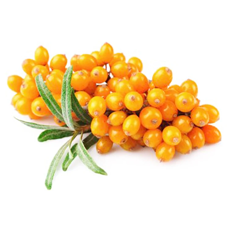 Hot Selling Pure Sea Buckthorn Berry Seed Fruit Berry For Sea Buckthorn Essential Oil Sea Bulkthorn Juice powder