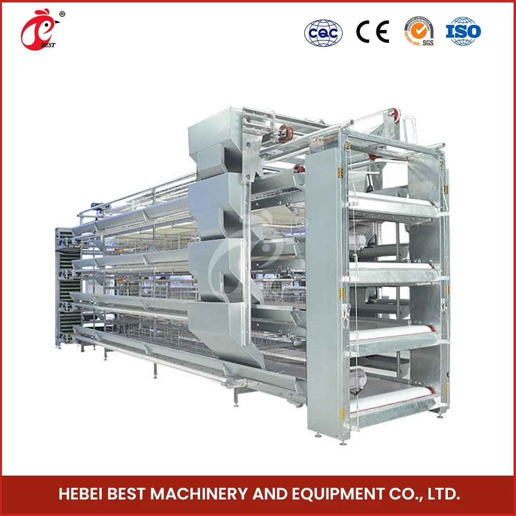 Layer Cage Fabricators China Ordinary Type Laying Coop Sample Available Large Laying Cages For Free Range Chickens