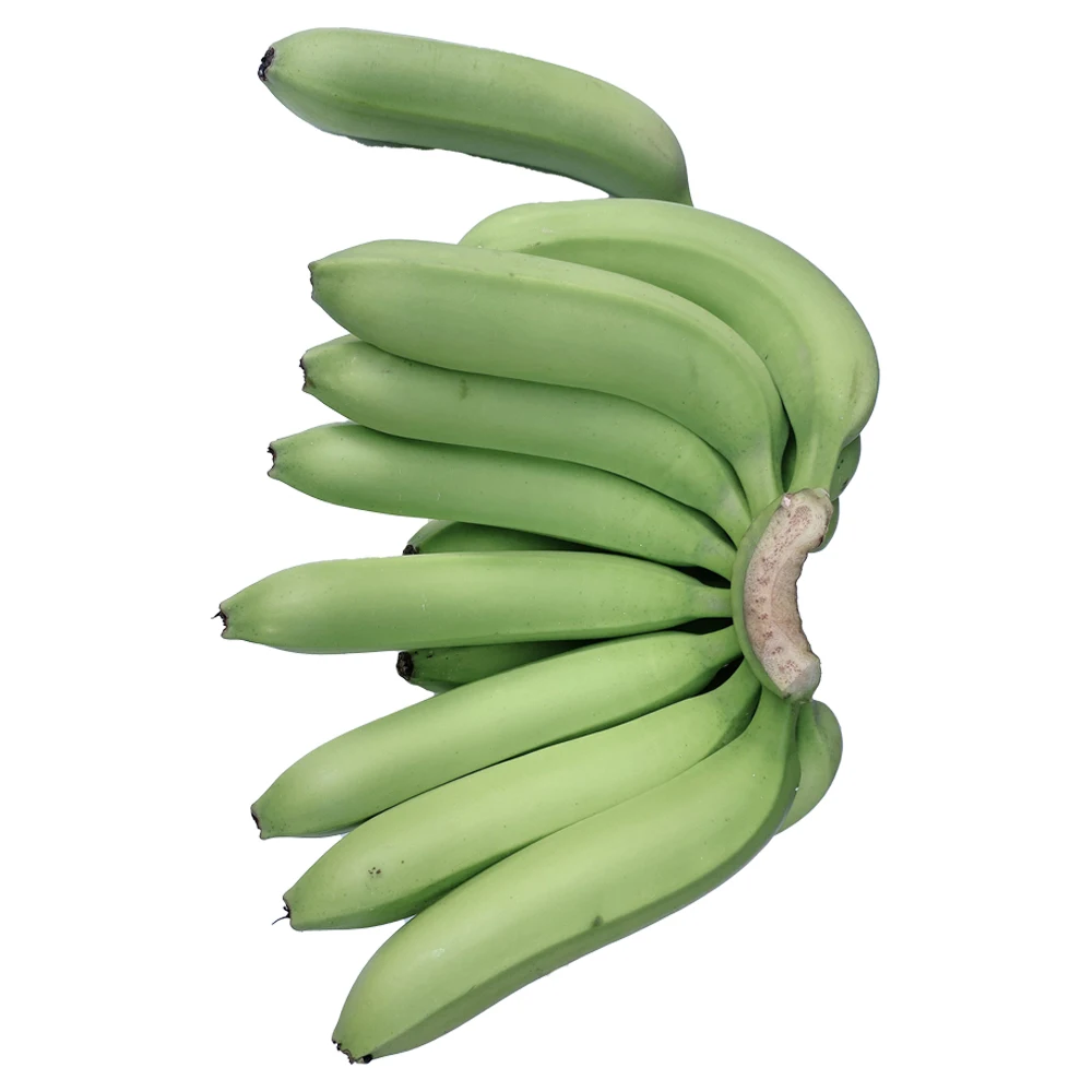 Organic Cultivation Type Hot Selling Best Brand Supplier Grade High Nutrition Top OEM ODM Service A456 Cavendish Banana