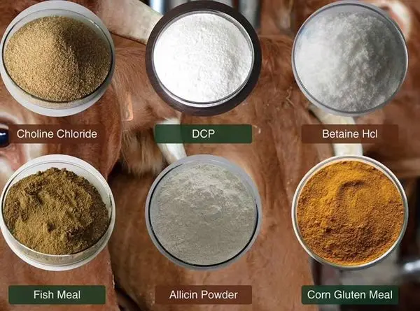 China Factory Price Animal Feed Protein Chicken Poultry Meat and Bone Meal