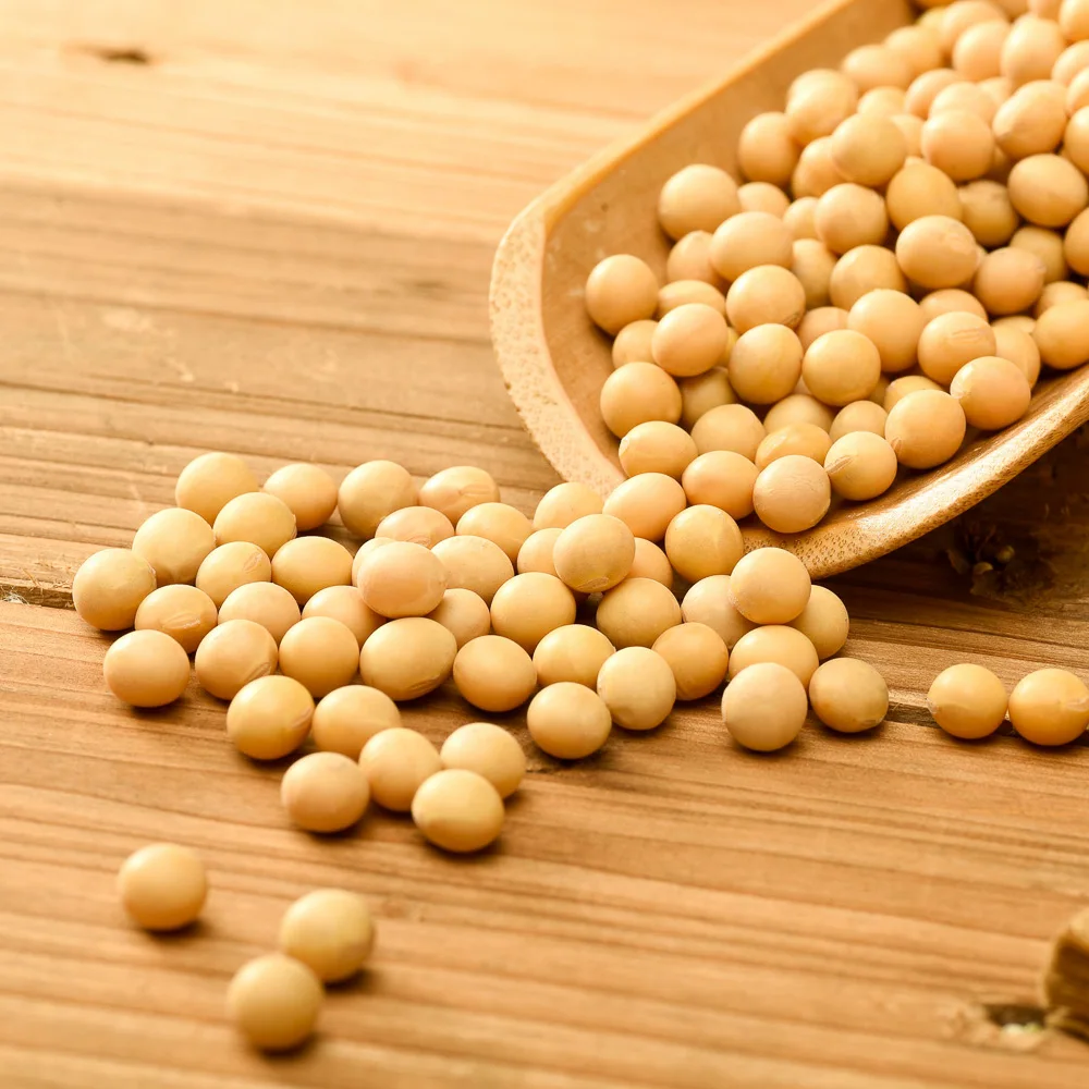 
Looking partners welcome to inquire large number wholesale organic soybean 