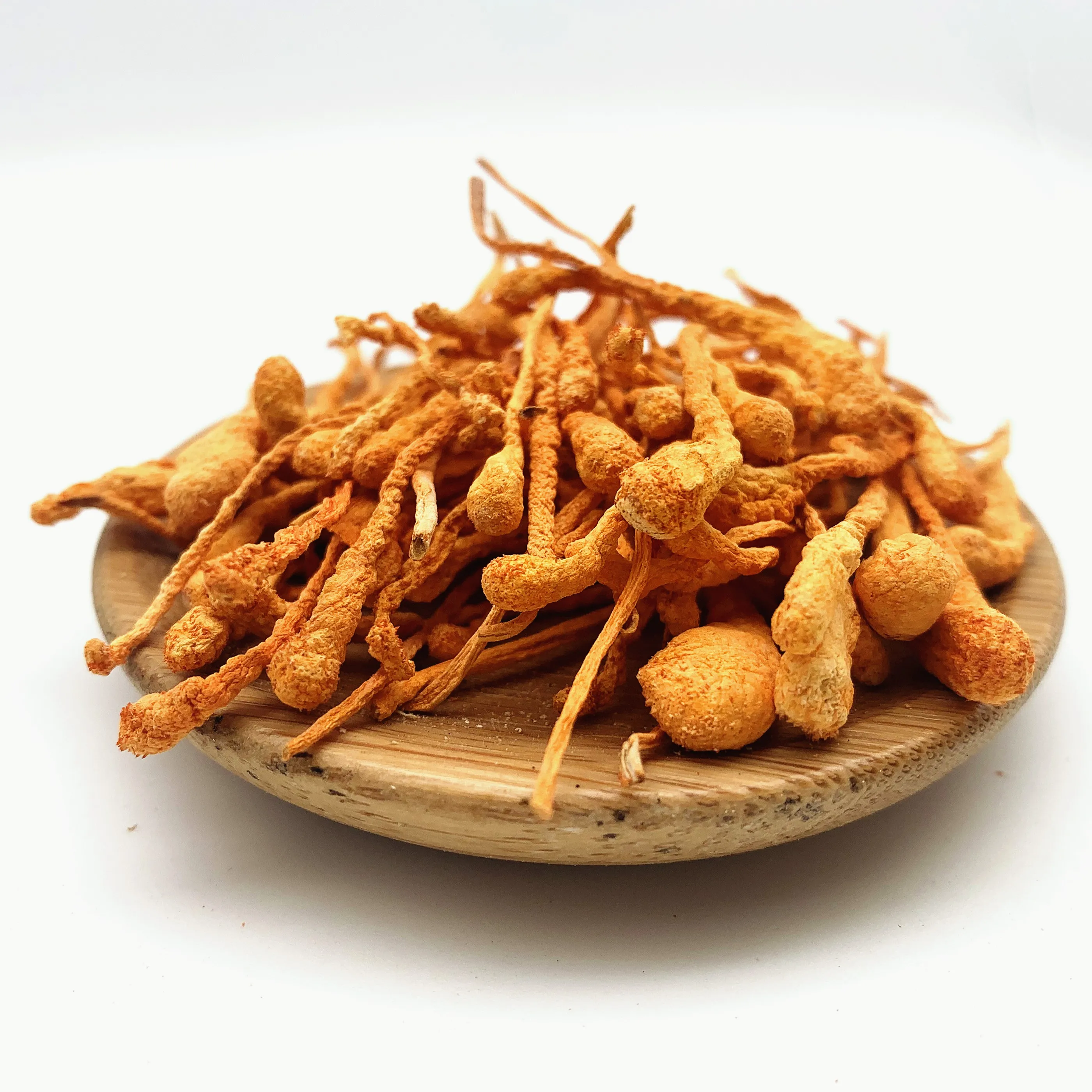 Tibet dried cordyceps militaris with wholesale price